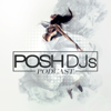 POSH DJs Podcast - POSH Entertainment