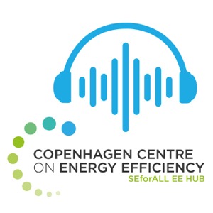 Scaling Up Energy Efficiency