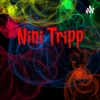 Nini Tripp: The Wonders of the World artwork