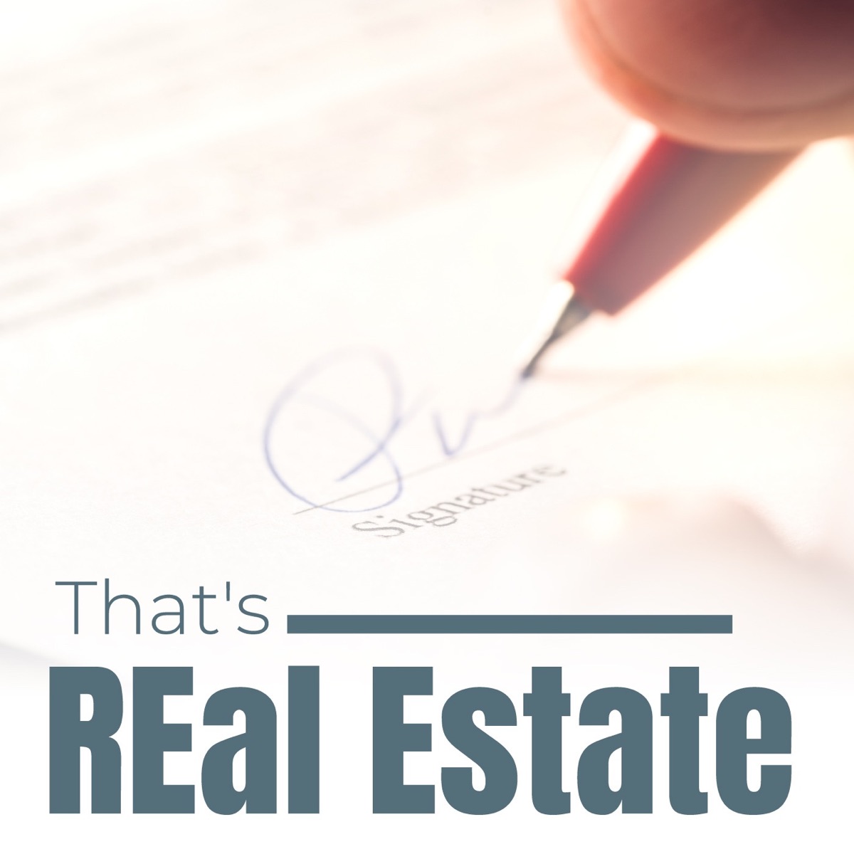 the-successful-buyer-s-agent-in-a-seller-s-market-that-s-real-estate