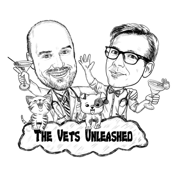 The Vets Unleashed