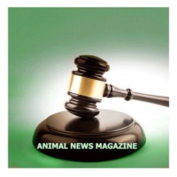 Peter Singer, philosopher and author, explains speciesism, his views on animal abuse and his free e-book.