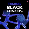 Taming Black Fungus artwork