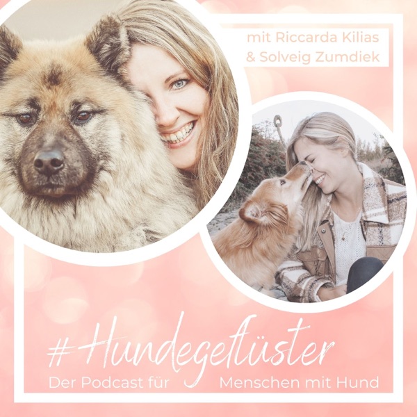 Hundegeflüster - Der Podcast für Menschen mit Hund