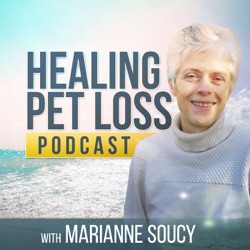 Pet Loss Healing with Flowers and Butterflies - angel dog Tuco