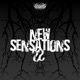 New Sensations 22-1
