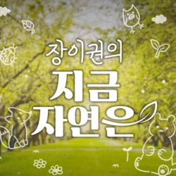 새끼 고라니