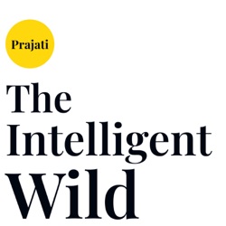 The Intelligent Wild