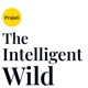 The Intelligent Wild