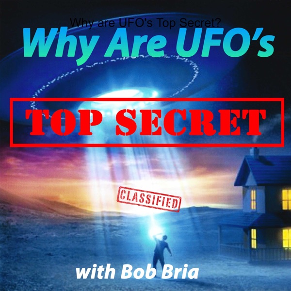 Why are UFO's Top Secret? Artwork