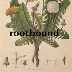 rootbound
