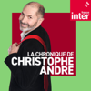 La chronique de Christophe   André - France Inter