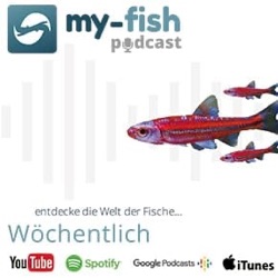 357: Start der Teichsaison im Großhandel - Fische für deinen Gartenteich (Heinhaupt & Gröper)