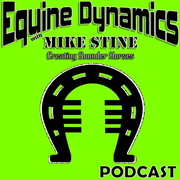 Equine Dynamics with Mike Stine Artwork