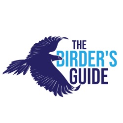 #45 Birding without Borders: Noah Stryker