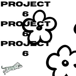 project 6 