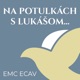 EMC ECAV