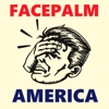 Facepalm America artwork