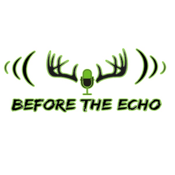 Before the Echo Image