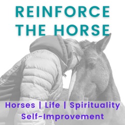 #54 | Curry Eversole | Success Takes Time | People Heal with Rescued Horses