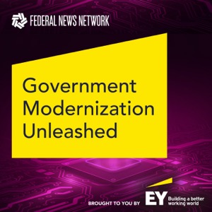 Government Modernization Unleashed