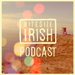 Podcast 155: How much Irish can you learn in a year? - Member Interview with Deborah