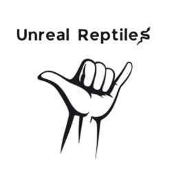Unreal Reptiles Podcast 