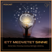 Ett medvetet sinne - Patrik Lexell