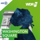 Washington Square - Talk