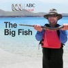 Big Fish