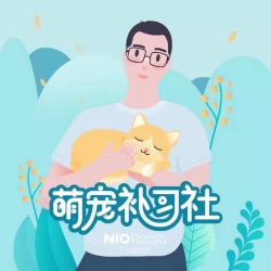 如何选择猫砂