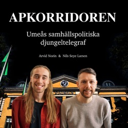 Trailer: Det här är Apkorridoren - Umeås samhällspolitiska djungeltelegraf!