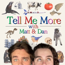 Tell Me More with Dan and Matt!?