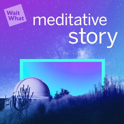 Meditative Story:WaitWhat