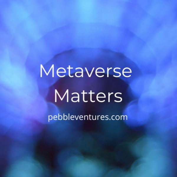 Metaverse Matters
