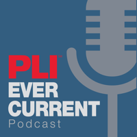 The Practising Law Librarian: Rebecca Katz on Access to Legal Research