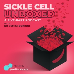 Sickle Cell and Love with Dr Olaniyi Owoeye