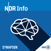 Synapsen – ein Wissenschaftspodcast - NDR Info