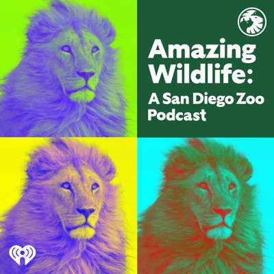 Amazing Wildlife: A San Diego Zoo Podcast:iHeartPodcasts