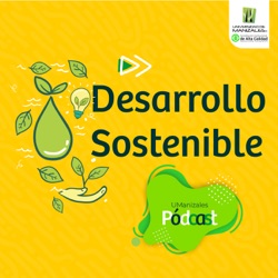 Cap: 12 Creación de valor sostenible en pymes colombianas