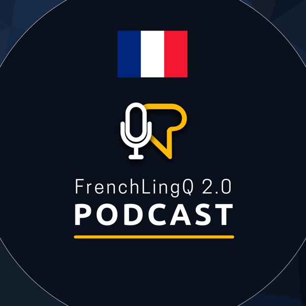 FrenchLingQ 2.0 Image