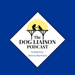 Is Loving Your Dog Enough To Treat Their Mental Health?