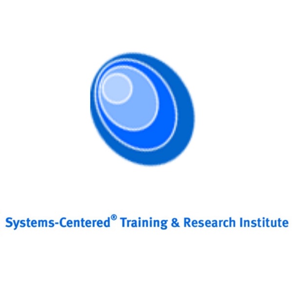Exploring Systems-Centered Theory In Everyday Life