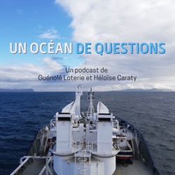 Un océan de questions