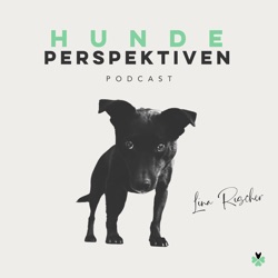 #035 | Ärger über den Hund