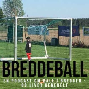 Breddeball