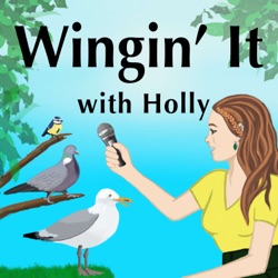 Ep11 - Helping birds in sticky situations