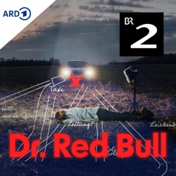 Im Red Bull-Land (5/6)