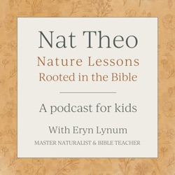 Create a Nature Calendar of Firsts with Ginny Yurich of 1000 Hours Outside - Kids Edition - Episode 28