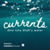 Currents: Dive into Utah's Water artwork